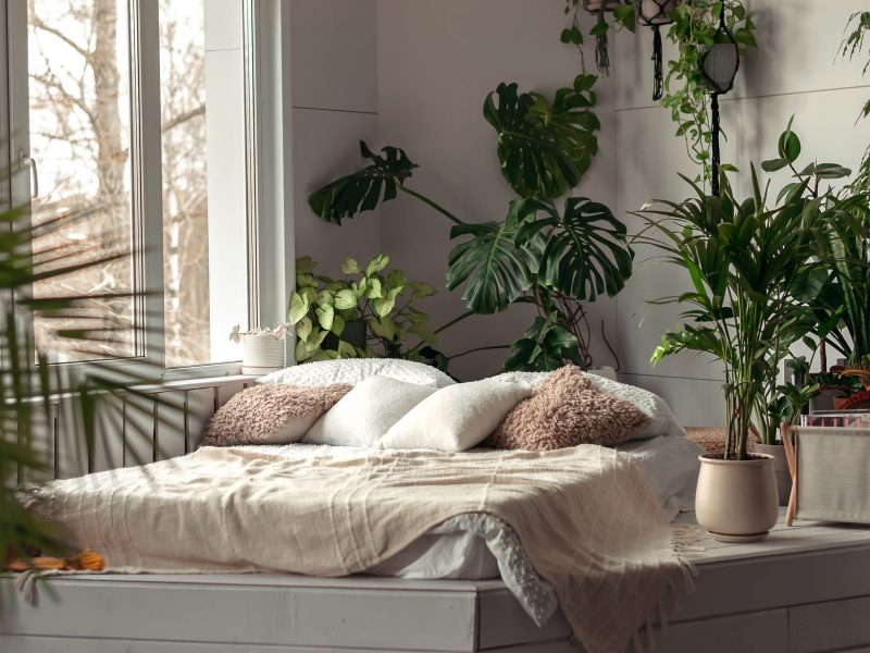 Cozy Bright Bedroom With Indoor Plants
