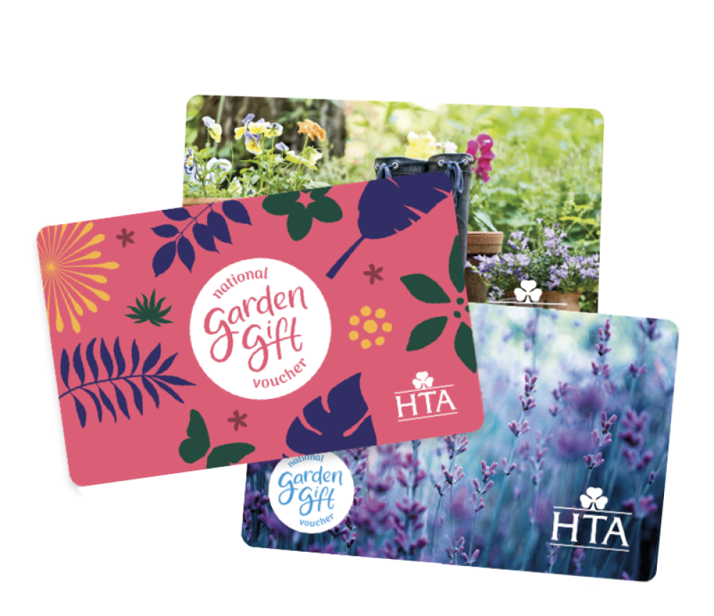 Giftcards graphic no flower