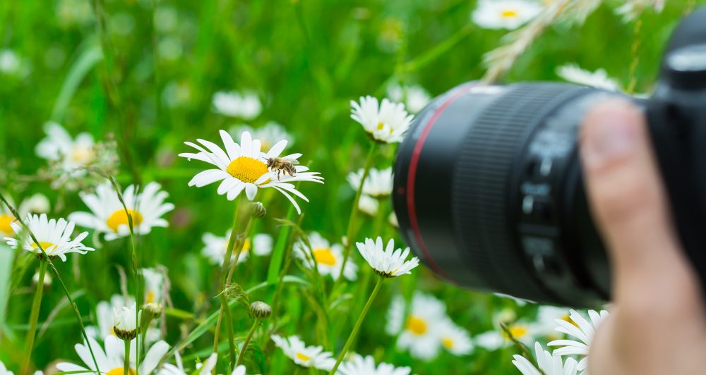 Photography competition