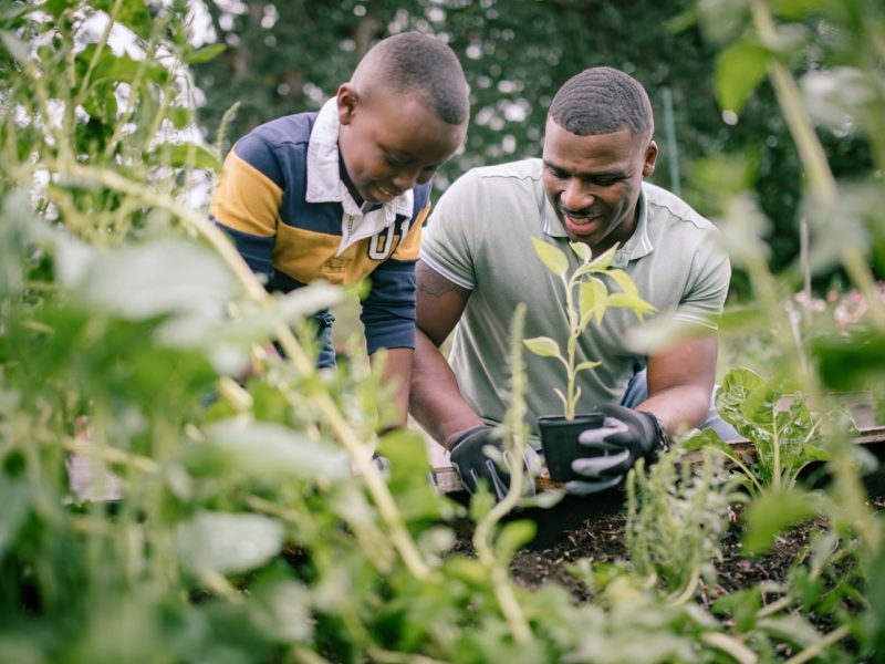 Father and Son gardening