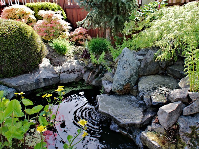 Beautiful Garden Water Feature