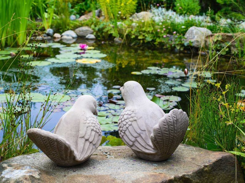 Stone doves by wildlife pond