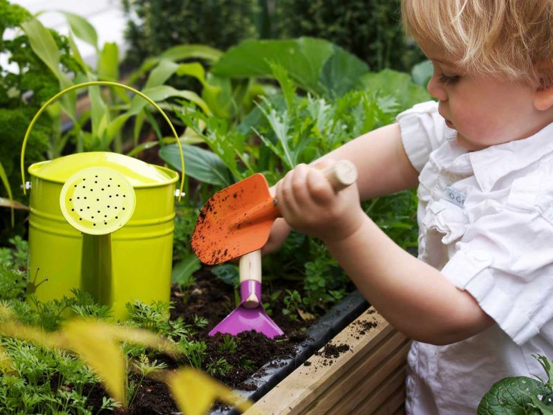 Toddler gardening